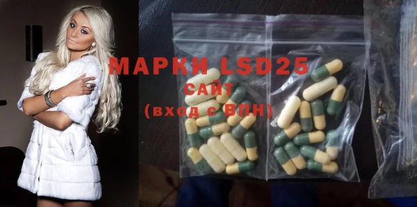 прущие грибы Волоколамск