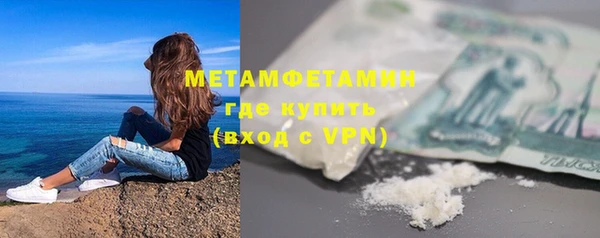 прущие грибы Волоколамск