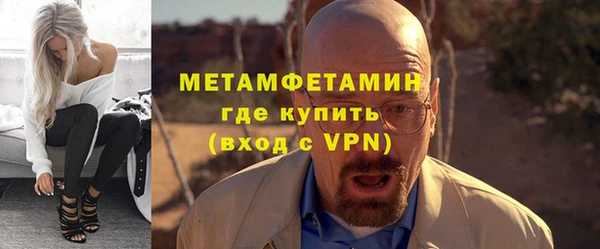 прущие грибы Волоколамск
