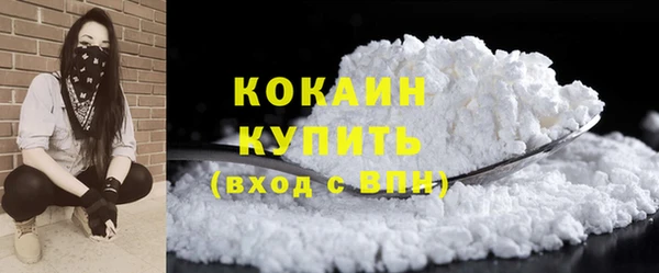 прущие грибы Волоколамск