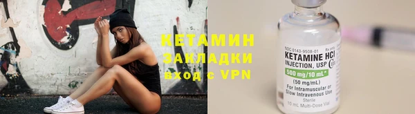 прущие грибы Волоколамск