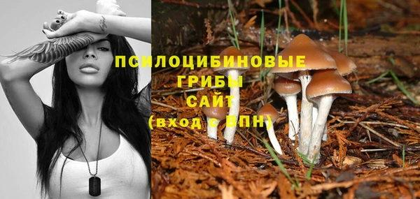 дурь Волосово