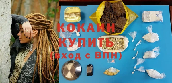 прущие грибы Волоколамск