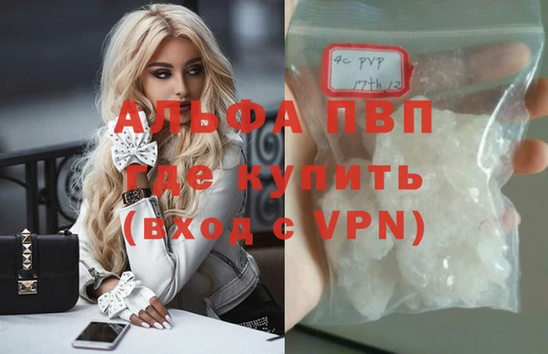 прущие грибы Волоколамск