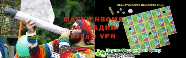 прущие грибы Волоколамск