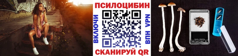 Галлюциногенные грибы Psilocybine cubensis  Купить закладки  Белебей 